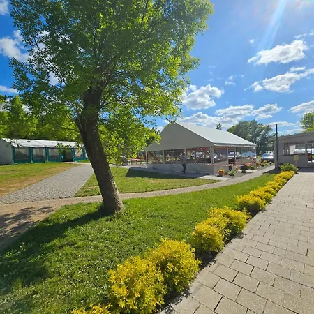 Bachus * フミエルノ