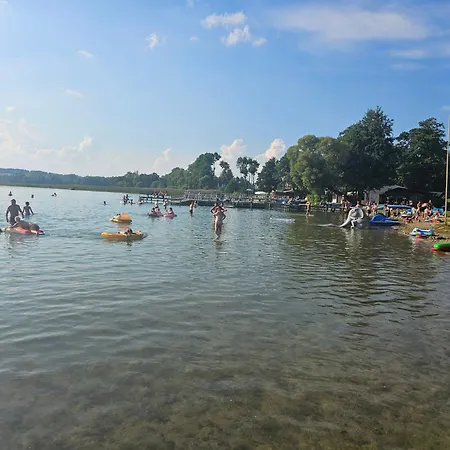 Bachus フミエルノ